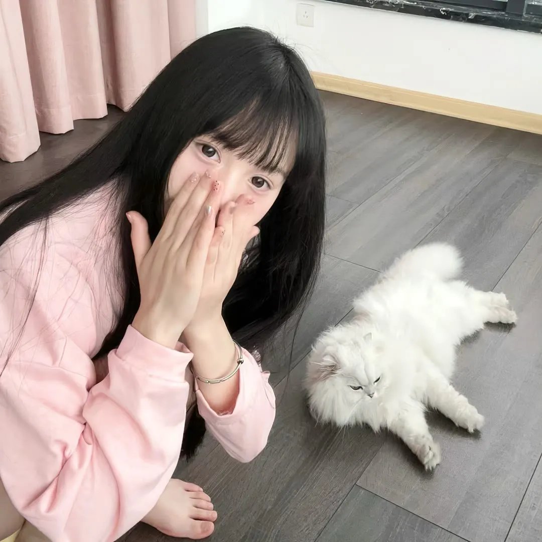 罪犯联盟第二季